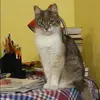 Отзыв от Зинаида Соболева